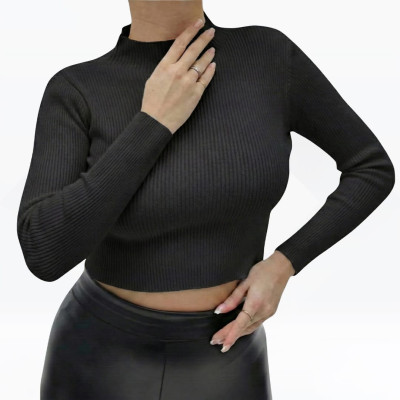 Women's Ribbed Mock Neck Long Sleeve Crop Top